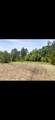 0 Sealy Wells Rd - Photo 9