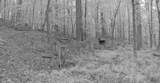 0 Old Furnace Rd - Photo 19