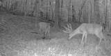 0 Old Furnace Rd - Photo 20
