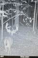 0 Old Furnace Rd - Photo 21