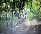 0 Old Furnace Rd - Photo 22