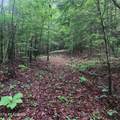 186 Crockett Cemetery Rd - Photo 13