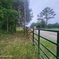 186 Crockett Cemetery Rd - Photo 3