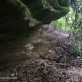 186 Crockett Cemetery Rd - Photo 10