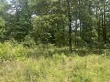5 Toms Creek Lake Rd - Photo 2