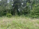 8 Toms Creek Lake Rd - Photo 6