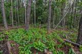 0 Brush Creek Rd - Photo 9