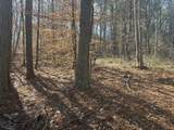 0 Dykes Hollow Rd - Photo 30