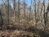 0 Dykes Hollow Rd - Photo 33