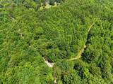 0 W Francis Springs Road - Photo 13