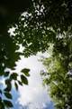 0 Pinewood Road - Photo 6
