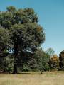 0 Pinewood Road - Photo 9