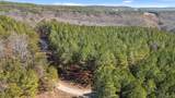 0 Wildlife Way - Photo 21
