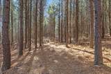 0 Wildlife Way - Photo 25