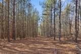 0 Wildlife Way - Photo 28