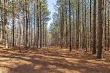 0 Wildlife Way - Photo 36