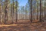 0 Wildlife Way - Photo 37