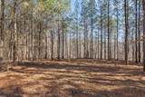 0 Wildlife Way - Photo 38
