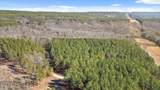 0 Wildlife Way - Photo 8