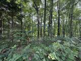 0 Rocky Point Rd - Photo 10