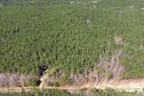 1070 Pollock Rd - Photo 14