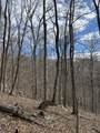 0 Bluff Line Dr - Photo 6