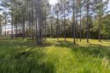 1600 Raulston Falls Road - Photo 2