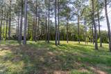 1600 Raulston Falls Road - Photo 5