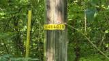 0 Sulphur Creek Rd - Photo 5