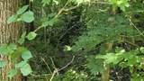 0 Sulphur Creek Rd - Photo 6
