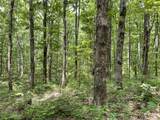 328 James Turner Rd - Photo 14