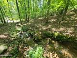 159 Sugarbush Circle - Photo 1