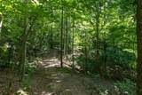 517 Collier Ln - Photo 89
