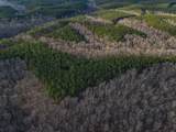 0 Brush Creek Rd - Photo 3