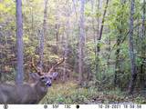 0 Pearson Road - Photo 16