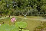 244 Access Rd - Photo 16