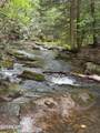 1041 Walt Reed Rd - Photo 49