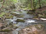 1041 Walt Reed Rd - Photo 50