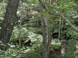 0 Wilder Hwy - Photo 12