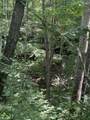0 Wilder Hwy - Photo 13
