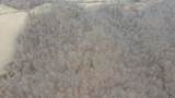 0 Clayton Angel Road - Photo 10