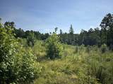 2853 Old Natchez Trace Trail - Photo 18
