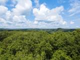 1300 Narrows Of The Harpeth Rd - Photo 2