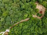 1300 Narrows Of The Harpeth Rd - Photo 20
