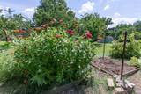824 Dry Creek Rd - Photo 56