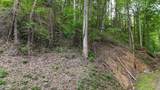 33 Black Walnut Flats Road - Photo 3