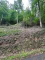 33 Black Walnut Flats Road - Photo 5