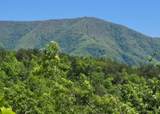 2759 Hatcher Mountain Road - Photo 2