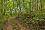 4876 Louise Creek Rd - Photo 25
