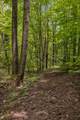 4876 Louise Creek Rd - Photo 29
